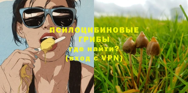 a pvp Мегион