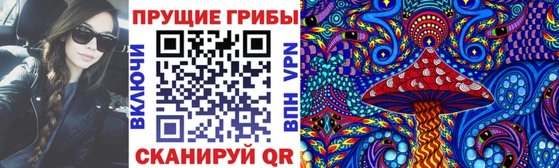 Псилоцибиновые грибы мицелий  даркнет сайт  Советский 