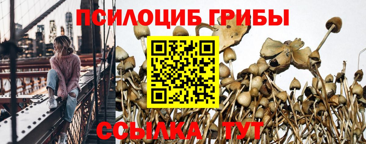 Галлюциногенные грибы ЛСД  Псилоцибиновые грибы мухоморы  Советский 