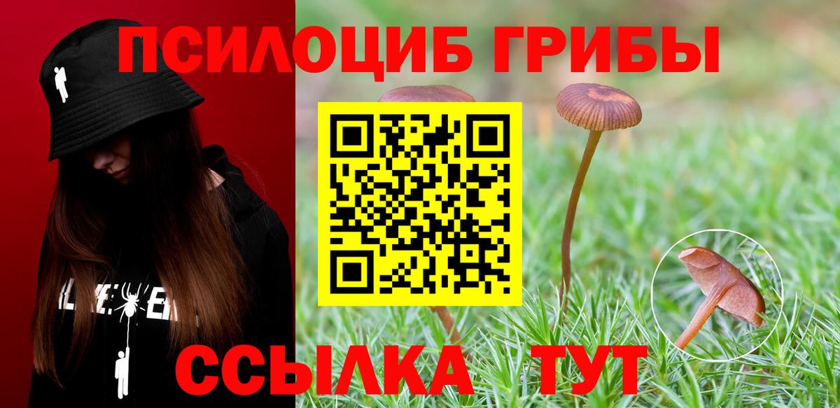 Советский  Псилоцибиновые грибы Psilocybe  Вход с VPN 