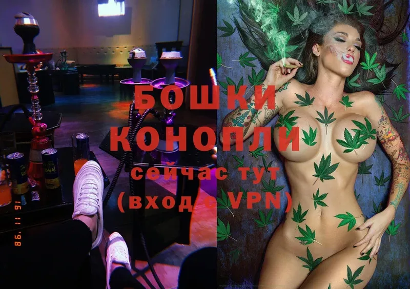 Марихуана OG Kush  Советский 